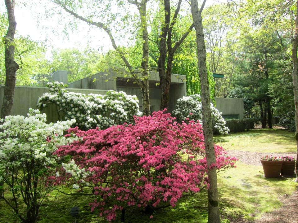An acre of land for you to enjoy