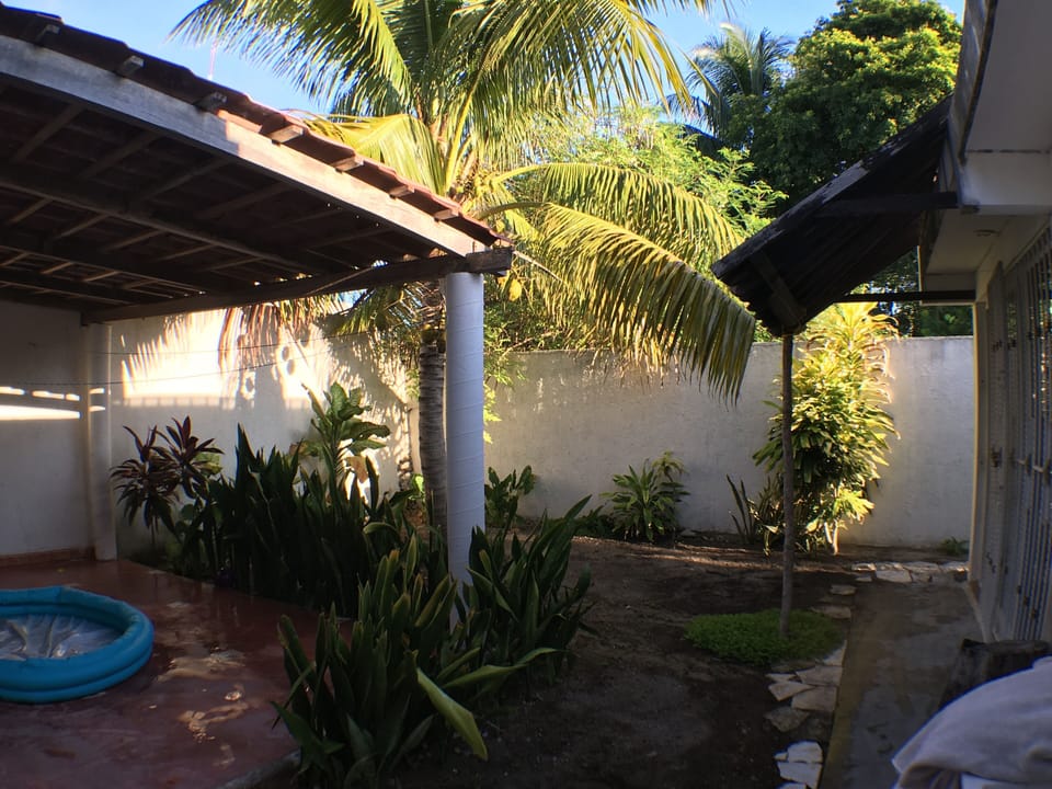 back yard-lot of shade with coconut tree.  fresh coconuts!