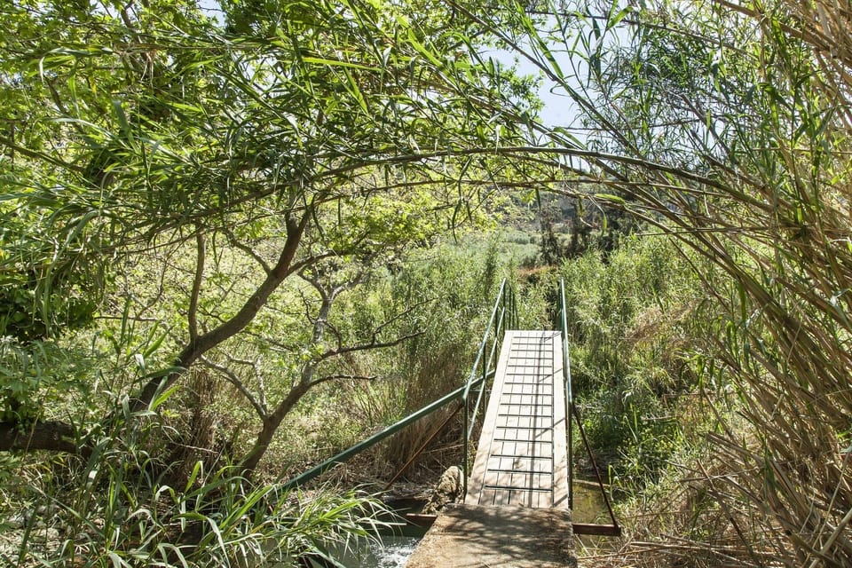 bridge of the river of the estate
