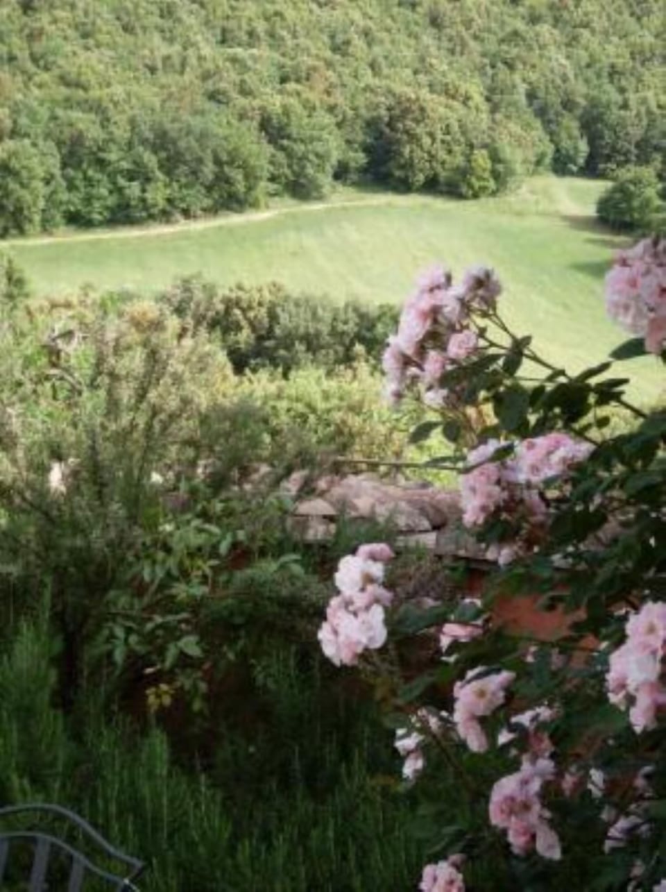 Garden, Park