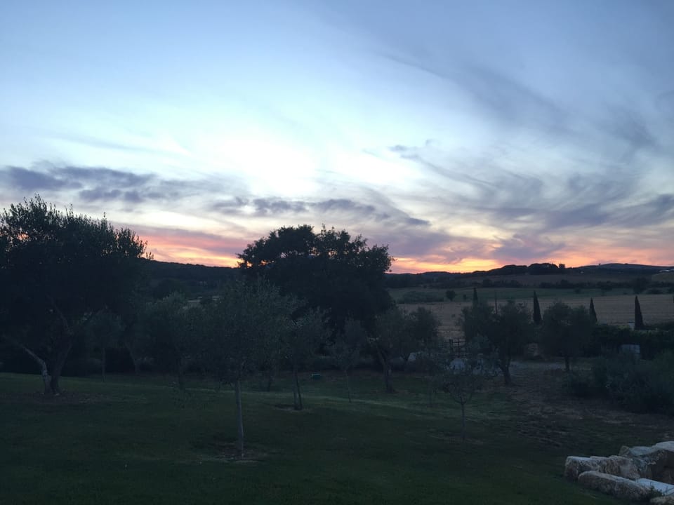 the villa is on top of a hill. This view looks towards olive trees and entrance