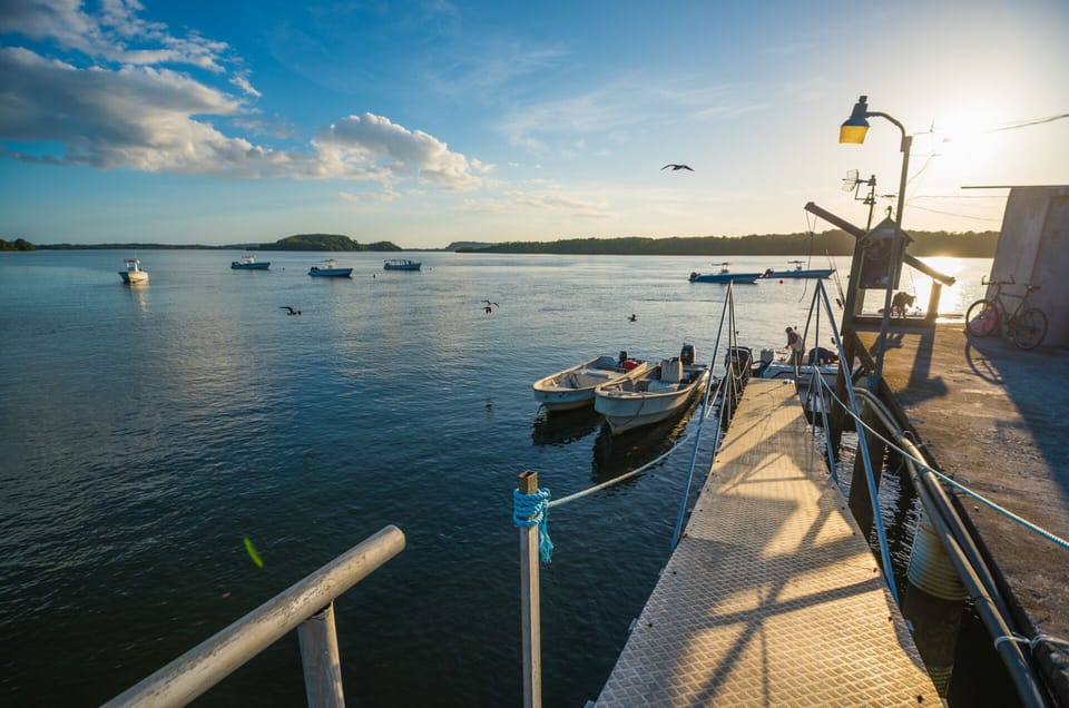 Paradise Lodge Panama, http://paradiselodgepanama.com