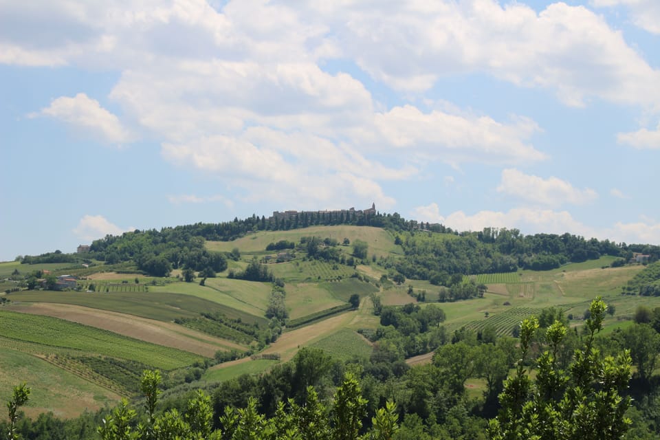 Luxury holiday with private pool and breathtaking panoramic in nature House in Marche