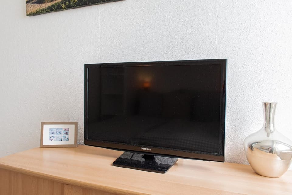 Television