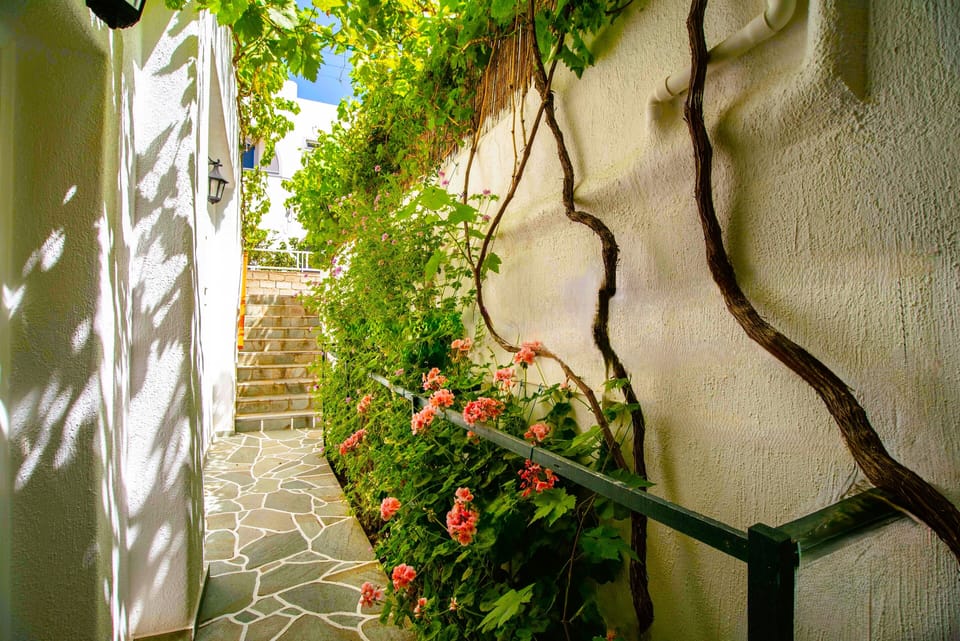The Beautiful Exterior Entrance of your room with stairs