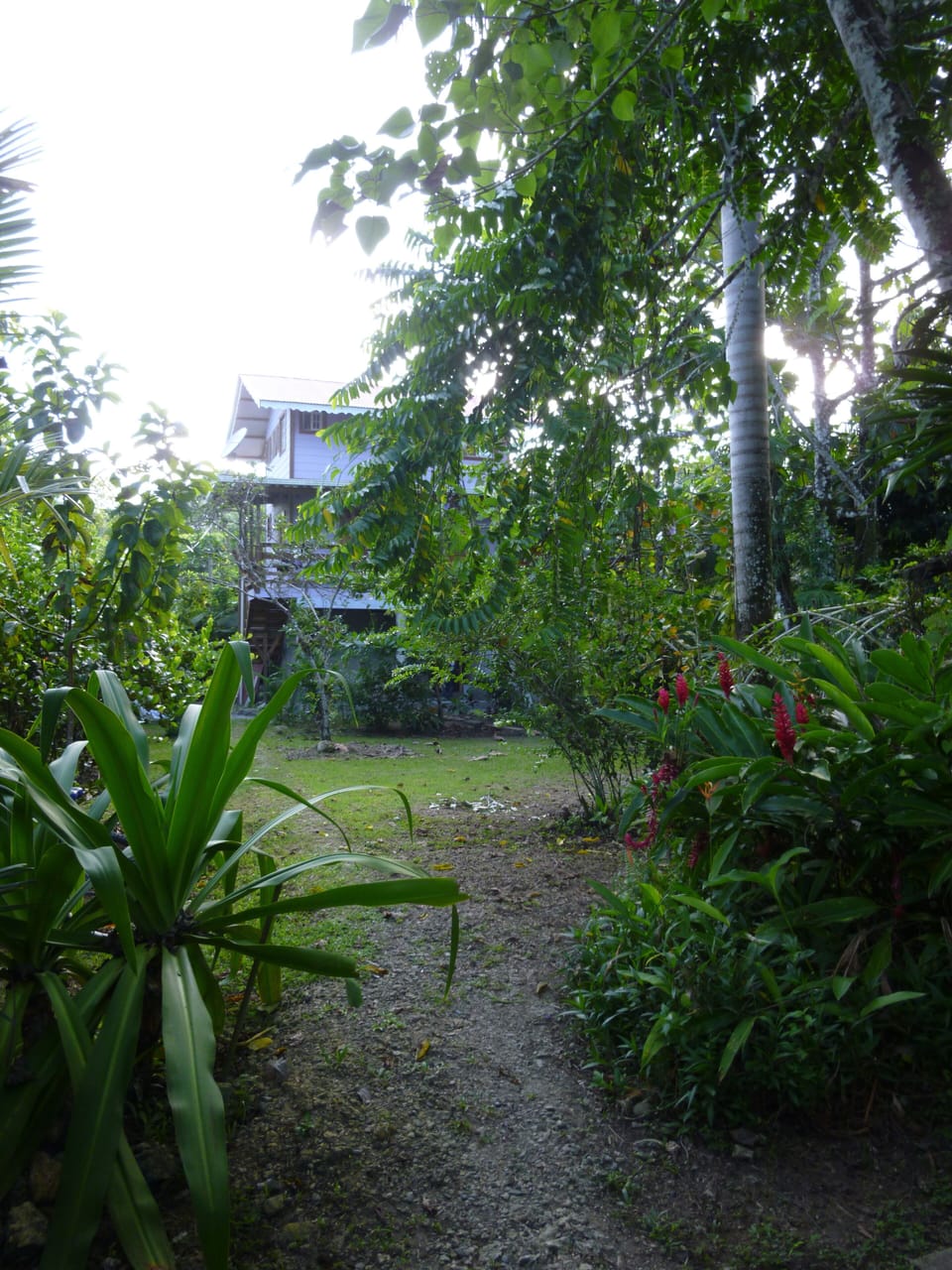 coming into the garden

