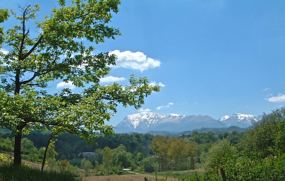 The View from the Bottom of our Road