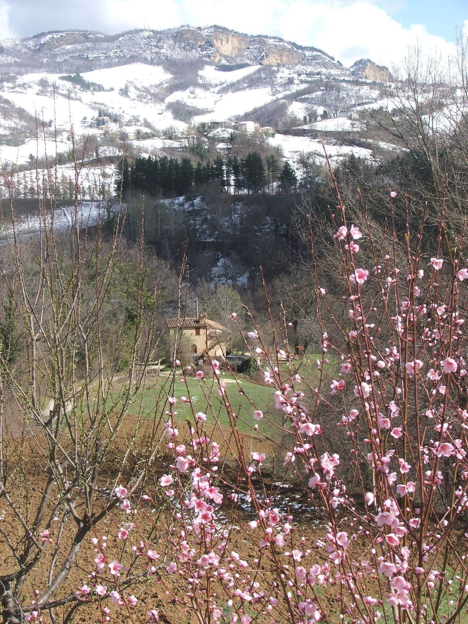 The Hideaway in Spring
