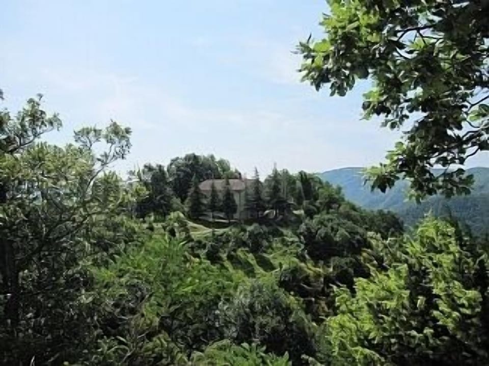 Cabraldi Overview