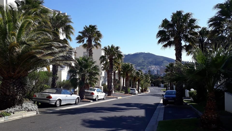 View from apartments road down main road
