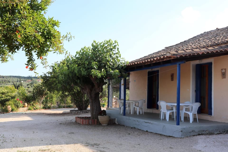 Main view