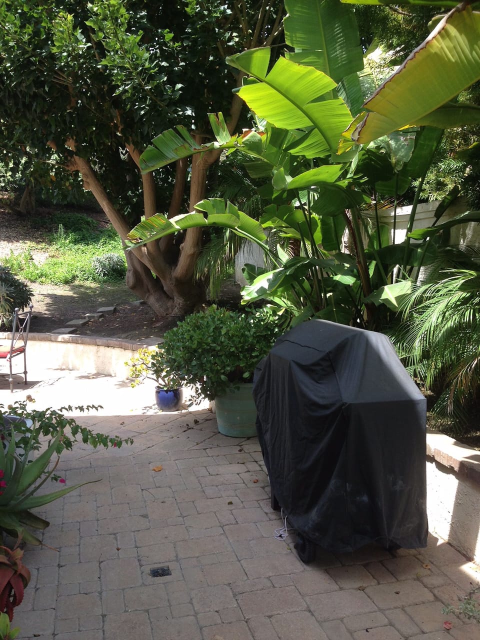 Side patio with BBQ