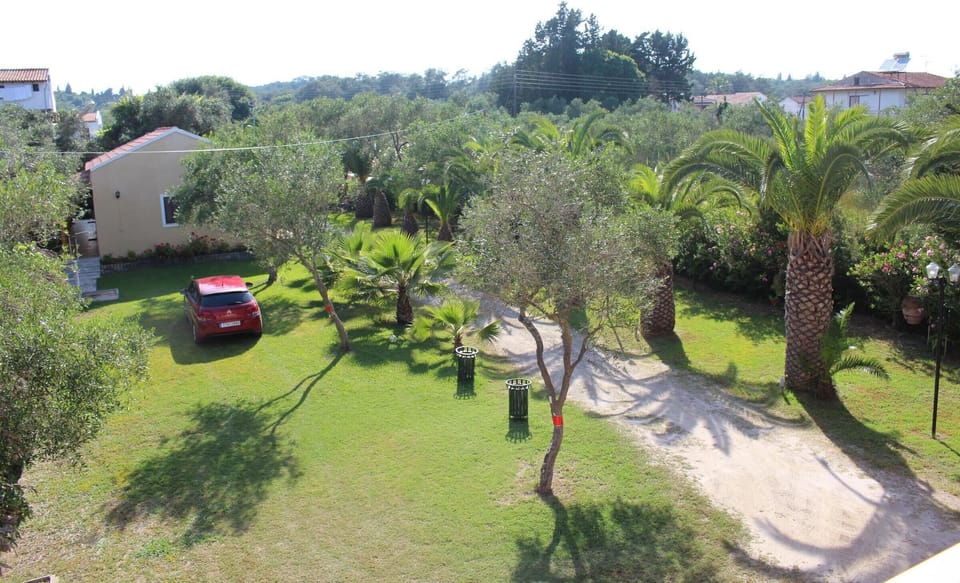 Main view