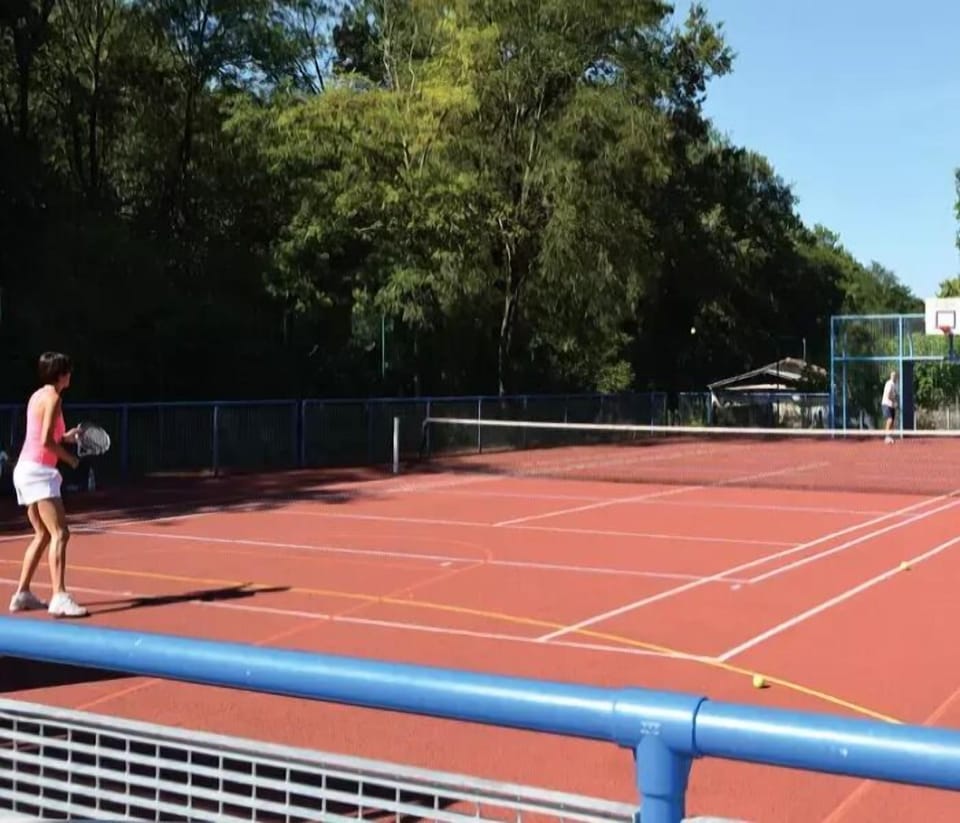 Sport court