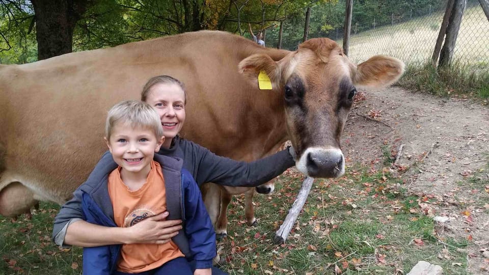 Tilde, our friendly Jersey cow, loves kids.