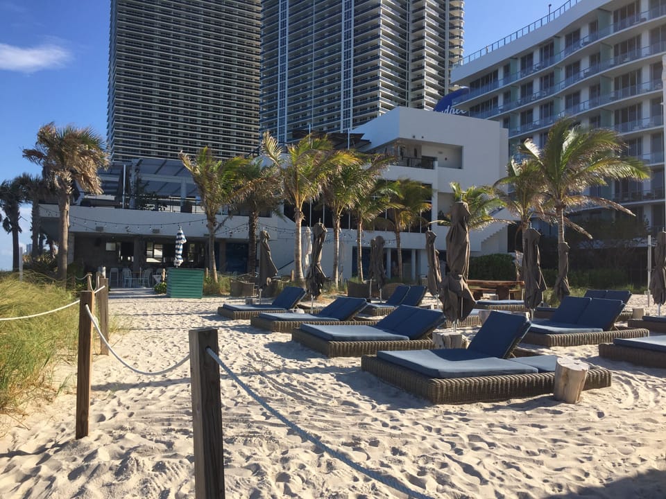 Beach area with lounge chairs 
