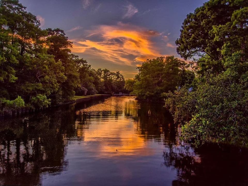 View From the backyard!