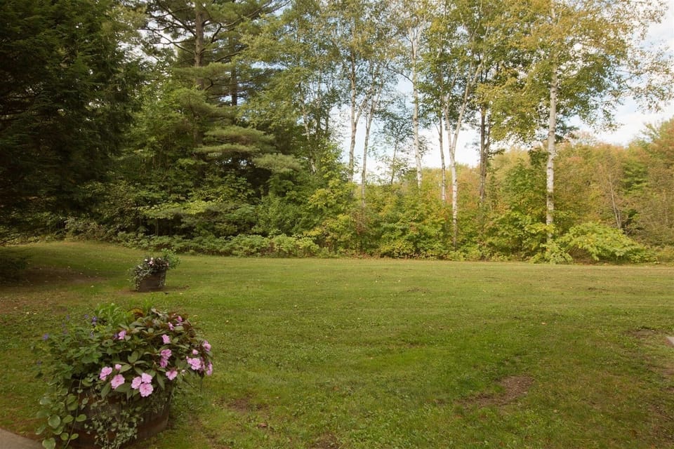 Expansive backyard perfect for relaxing or playing lawn games