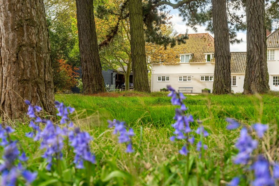 River View, Aldeburgh: Beautiful mature garden