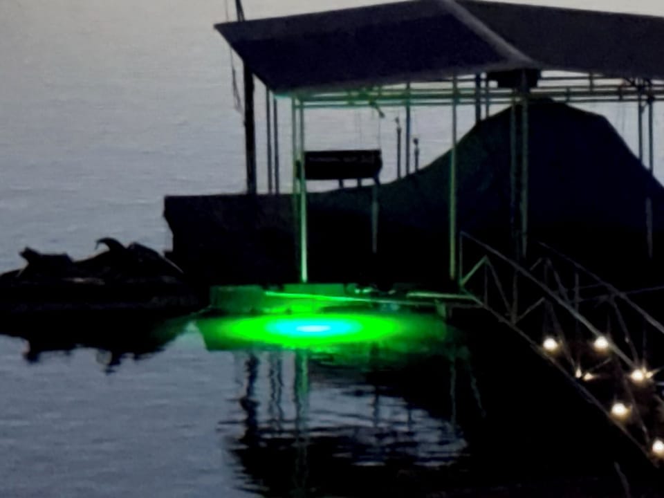 Green light on dock attracts fish! It will be fun watching the fish at night!