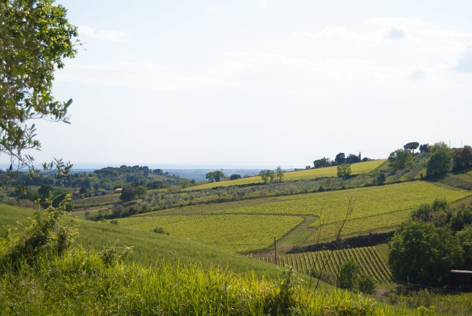 Isolated and peaceful farm located on the slopes of an enchanting valley Apartment in Tuscany