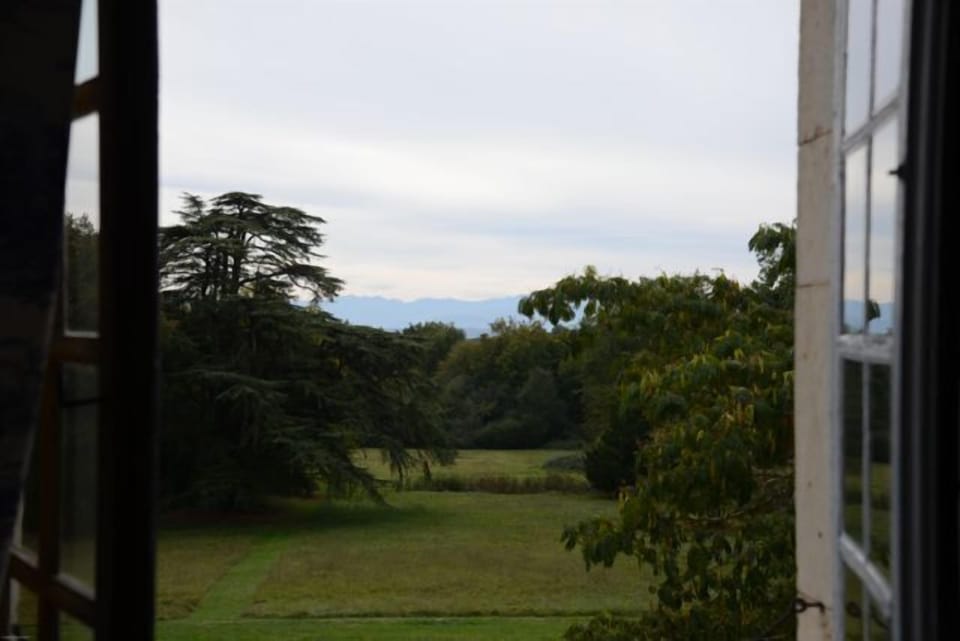 View to Pyrenees