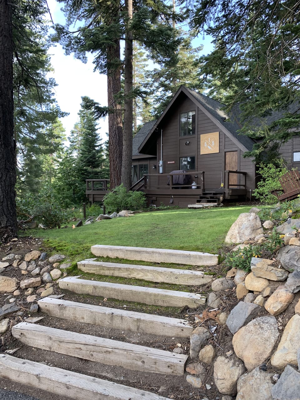 Summer side yard 