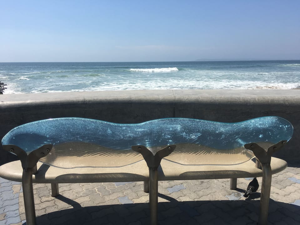 relax and watch the sunset at end of Palm Ave