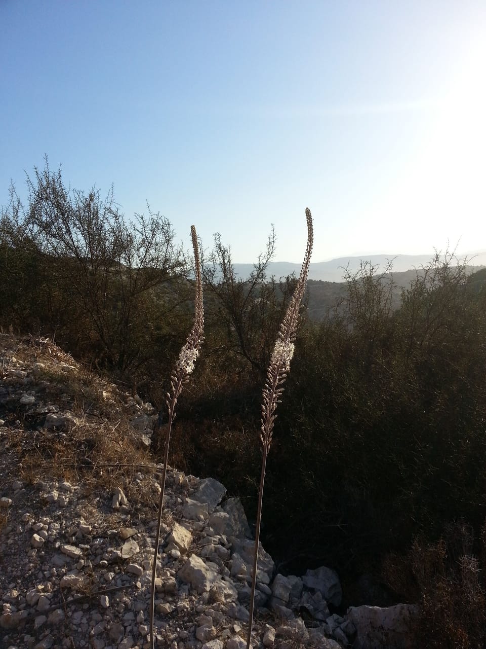 In the hills close to the golf-club