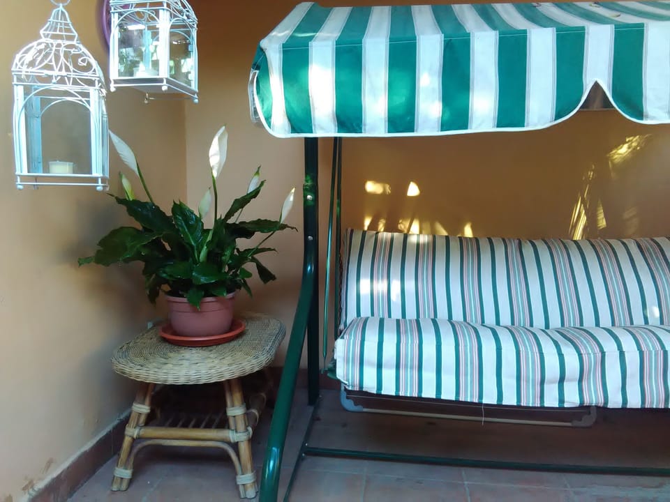 The swing and plants on the roof garden
