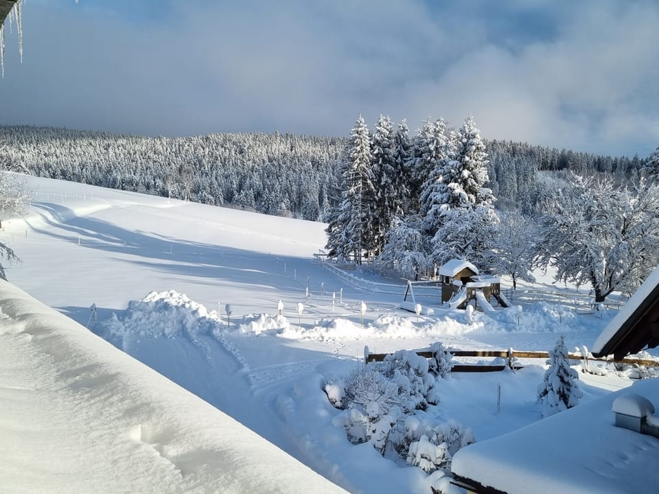 Snow and ski sports