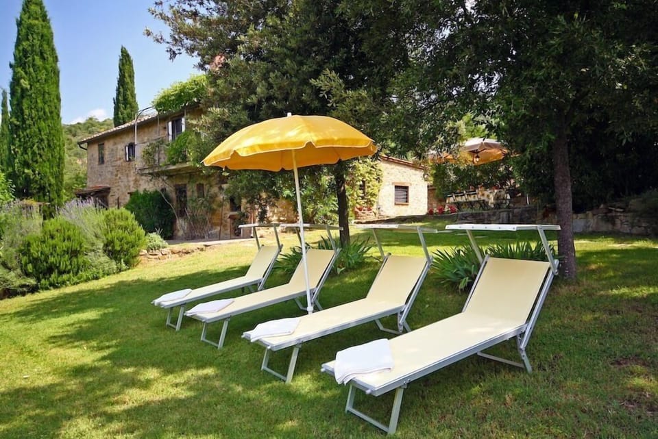 the garden with the sunbeds