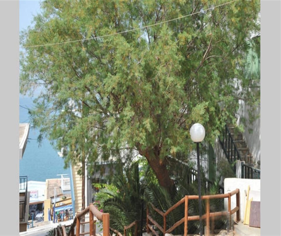 Elounda Apartments Cozy & Family (1b) Apartment in Lasithi