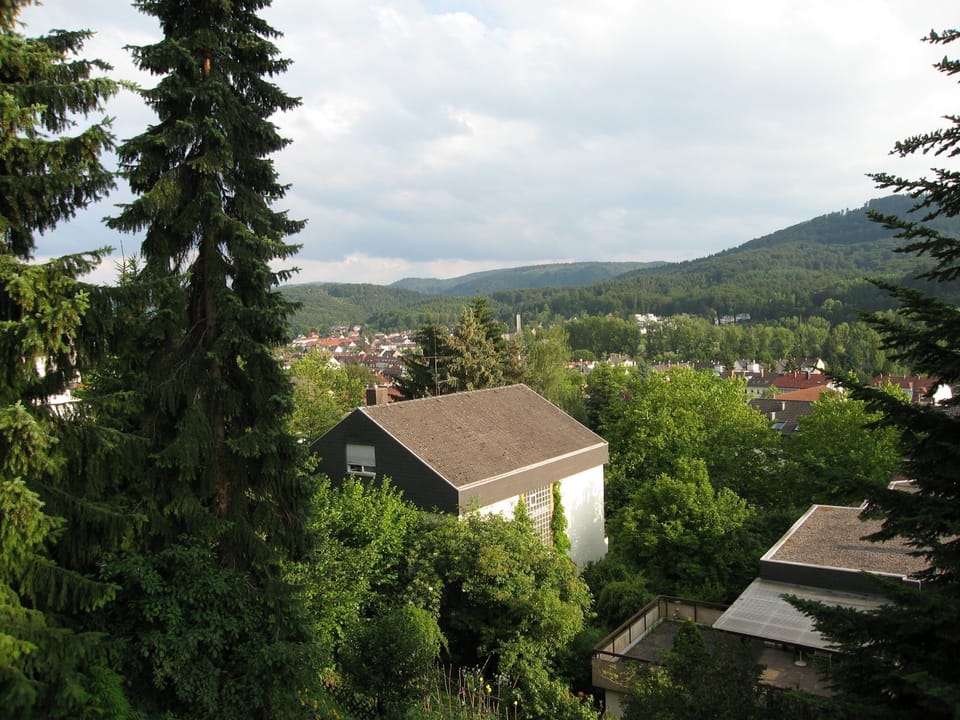 Individual living in a quiet, sunny slope of Baden-Baden (Close to City Centre) Apartment in Baden-Baden