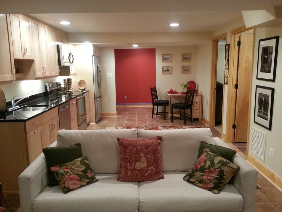 Living room and entrance 