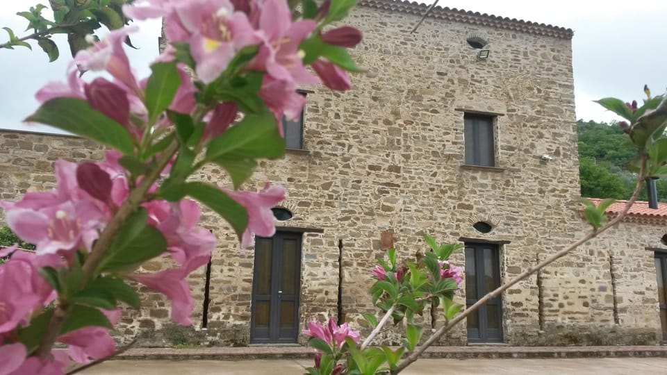 House front