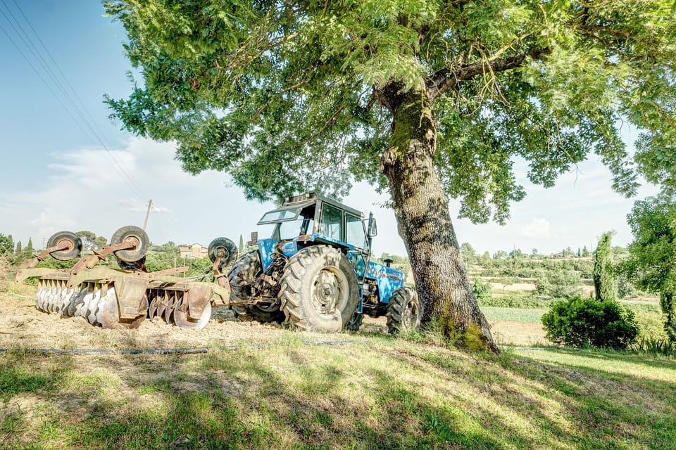 Farmhouse "Il Poggiarello" - The Tavern Farm Stay in Foiano della Chiana