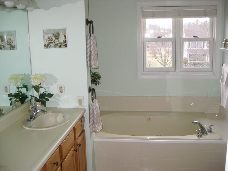 Master bath, includes double sink, jacuzzi tub, and shower 