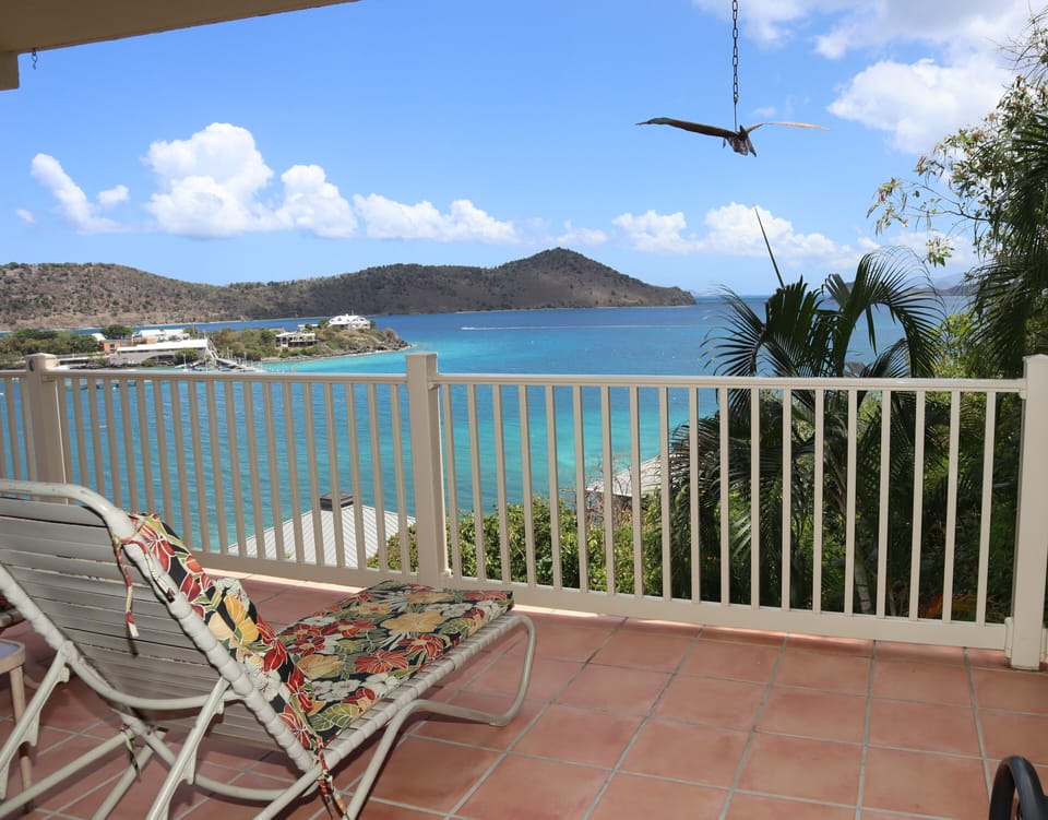 Patio view