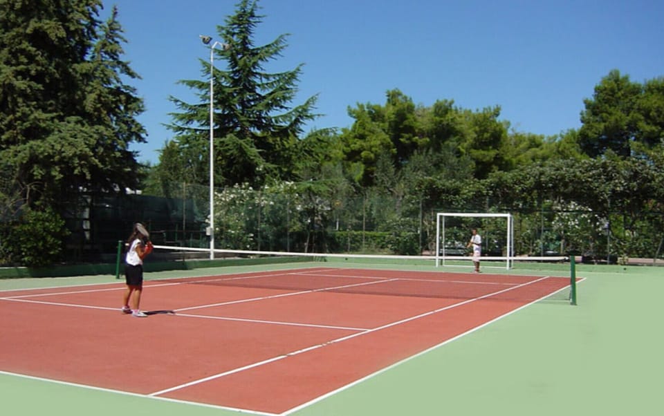 Sport court