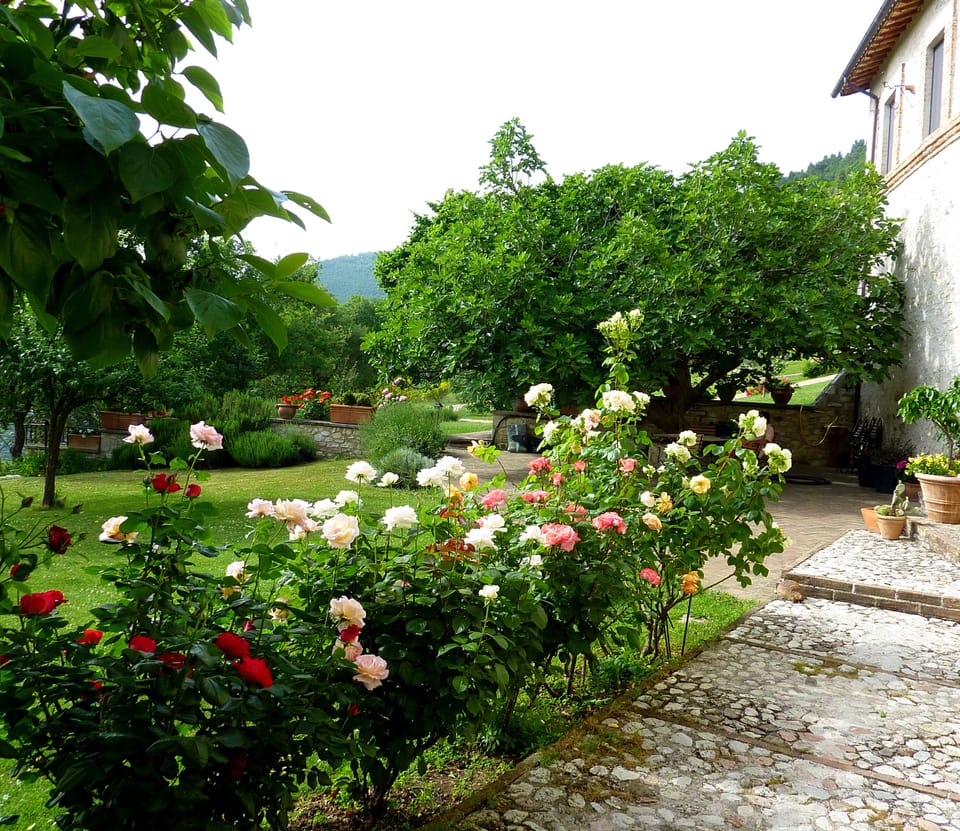 The garden terrace to dine al fresco Details at www.leloggedisilvignano.it