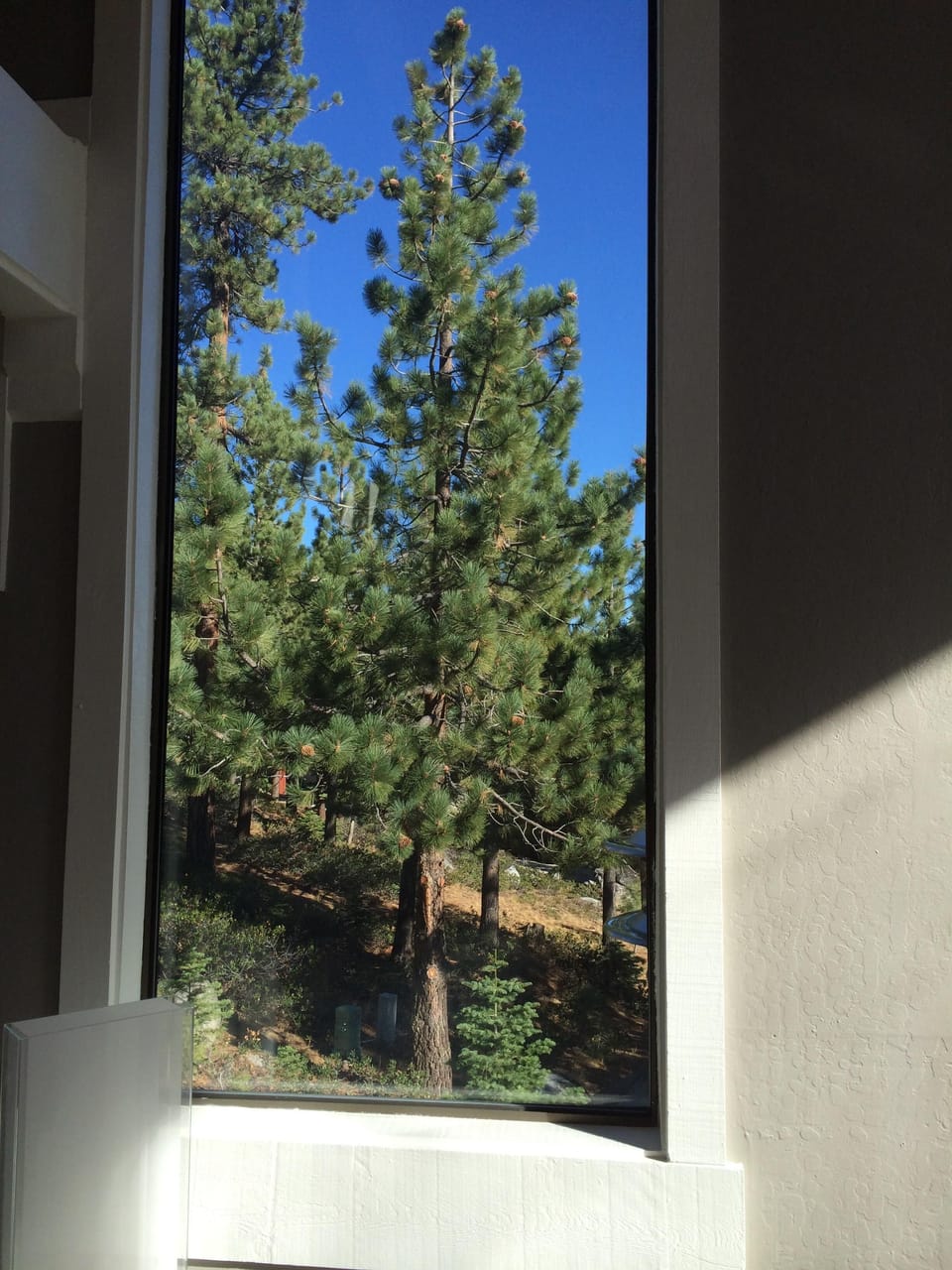 Huge picture windows