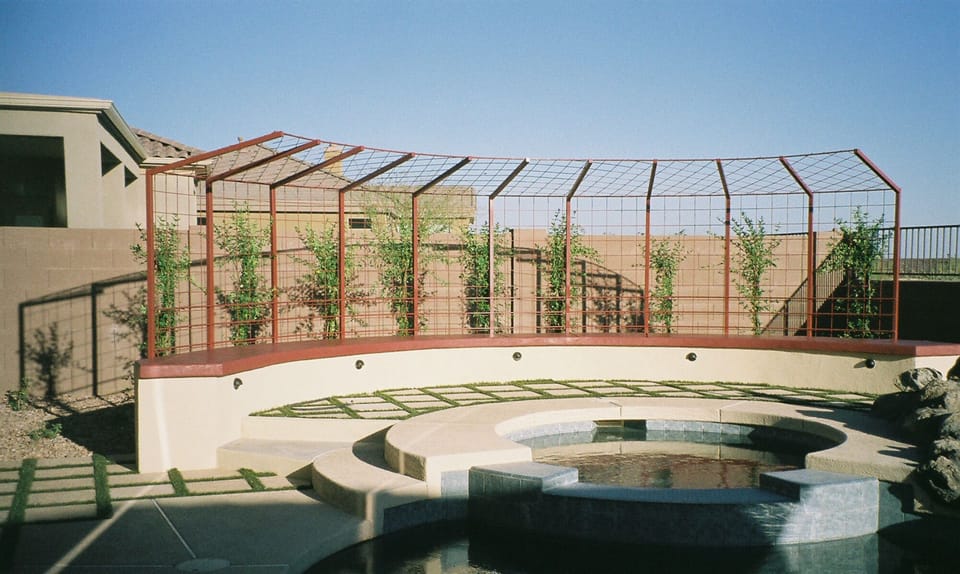 Trellis before the plants filled out.