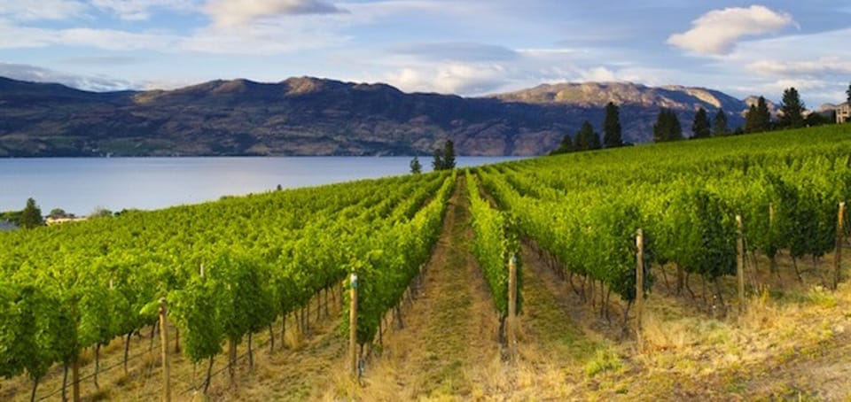 Washington State wine country