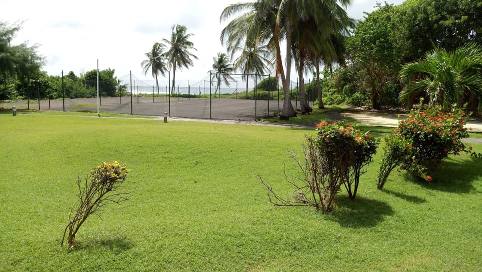 Sport court