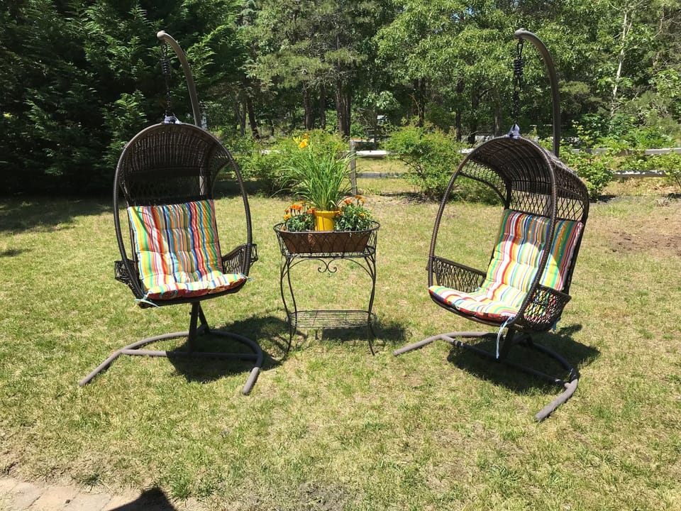 Swing chairs in the backyard - relax and enjoy!