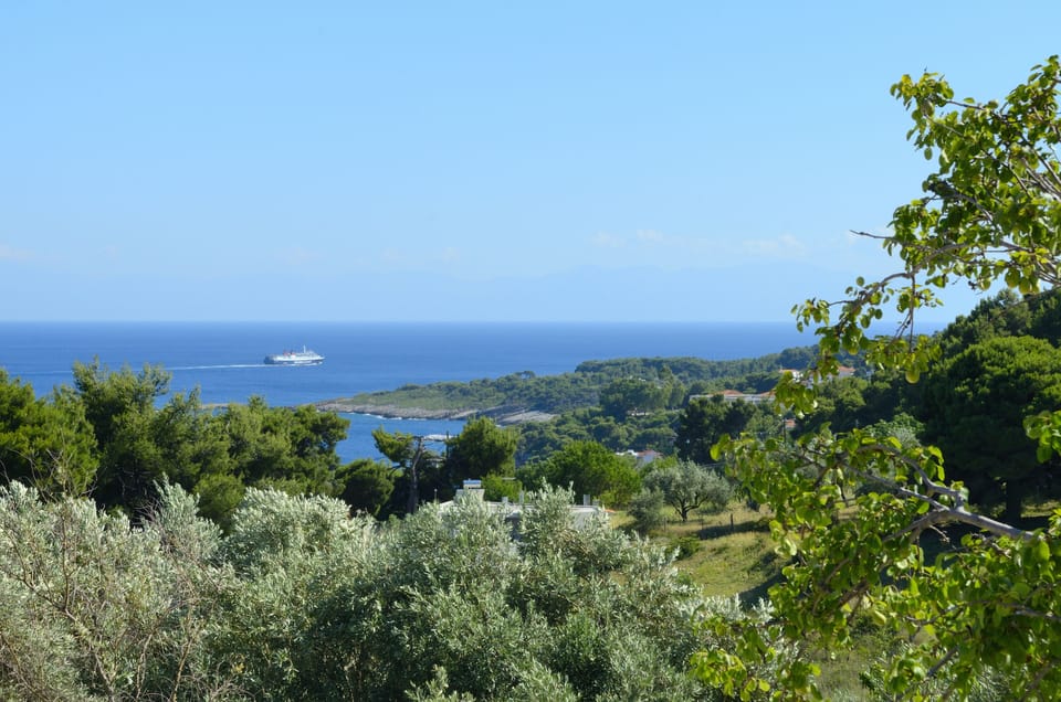 The view across to the port,stunning views all around the hillside .peacefull