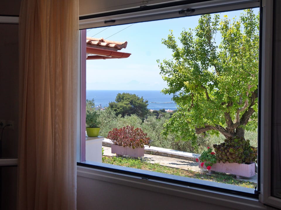all windows have mosquito blinds 
amazing view and quiet 