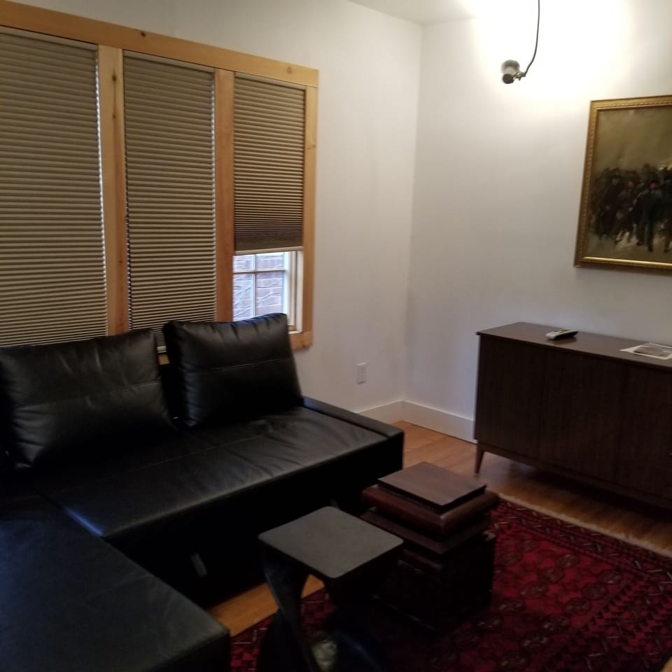 livingroom w queen fold out couch