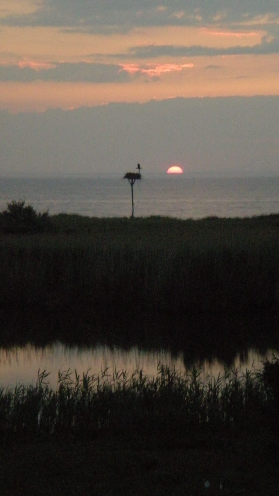 Osprey nest and sunset, as seen from the deck